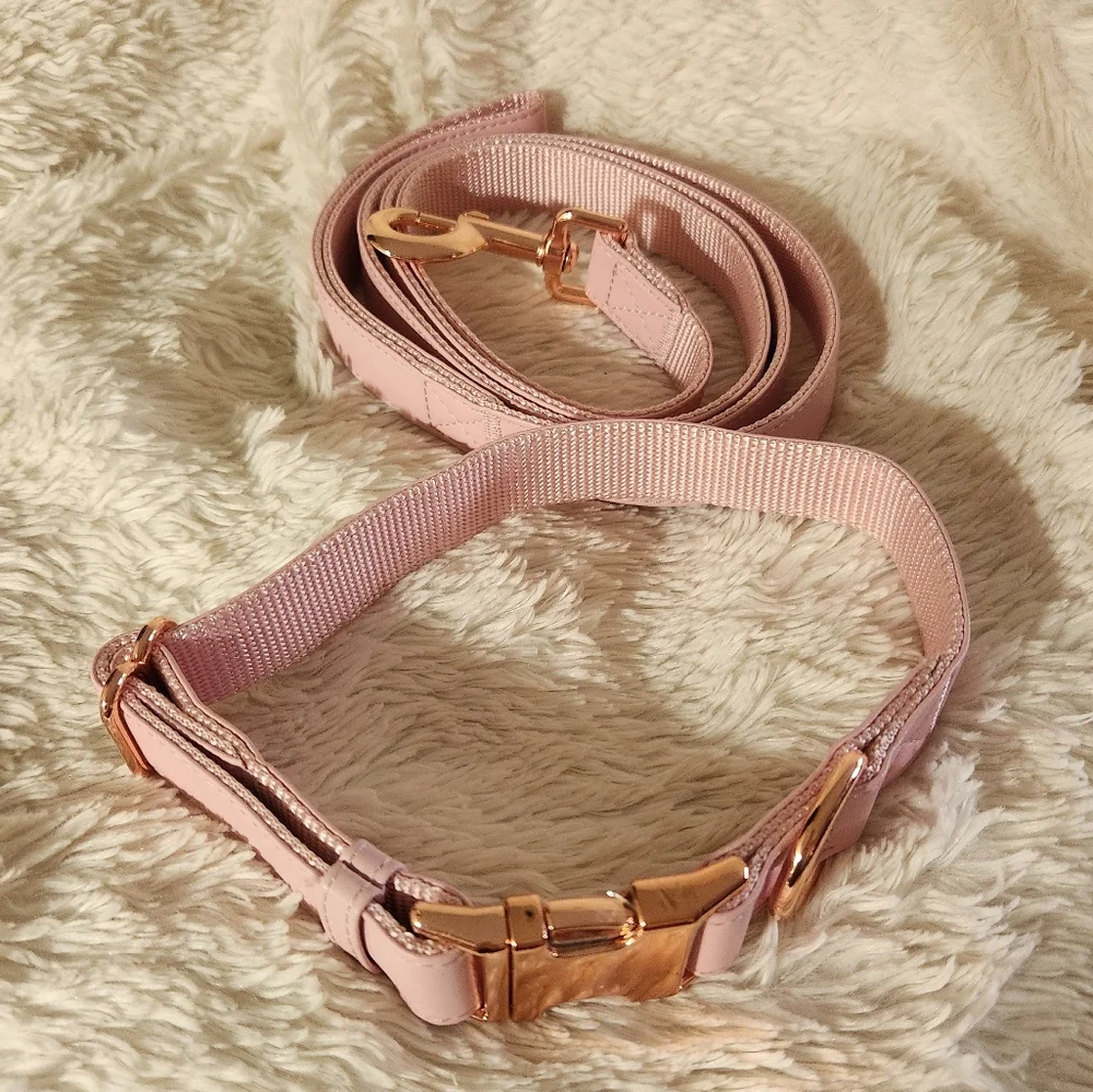 Pink Vegan Leather Dog Collar And Leash Set